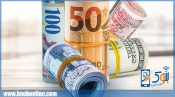 سعر الجنيه المصري.. تطورات صرف العملات الأجنبية والعربية في تعاملات الأحد 11 يناير